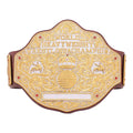 Big Gold Heavyweight Championship Wrestling Replica Title Aurex Belt